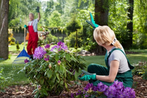 In a lush, well-maintained garden featuring a variety of plants, a woman wearing gardening gloves and casual clothing is kneeling beside blooming purple rhododendron bushes, examining or pruning the vibrant flowers and lush green leaves. The garden has a neatly edged lawn, a mixture of soil beds, and paved pathways visible in the background. Tall trees with dense foliage provide shade, while other plants and shrubs create a layered, textured landscape. The scene appears to be set on a bright, sunny day with natural light softly filtering through the trees, contributing to a serene outdoor environment typical of a residential garden in Rotherhithe. A young girl in a red apron and gloves is in the distance, raking leaves or debris on the lawn. The setting reflects a well-cared-for garden space, with elements consistent with professional gardening and landscaping practices by Gardening Services Rotherhithe, supporting a vibrant and healthy outdoor area designed for relaxation and outdoor activities.