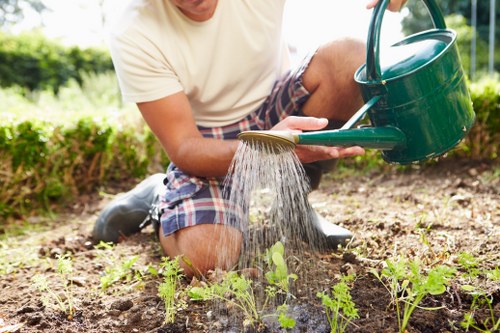 Vibrant outdoor garden space created by Gardening Services Rotherhithe