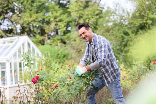 Close-up of hands planting seedlings in a garden bed