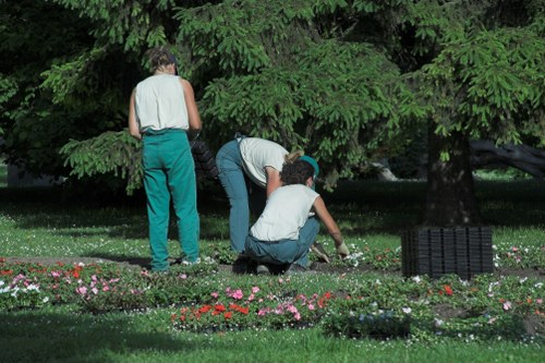 Seasonal garden maintenance in Rotherhithe