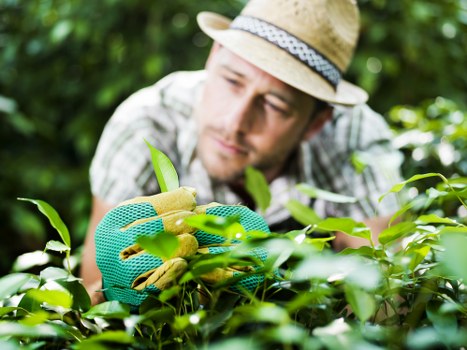 Gardening staff wearing PPE preparing equipment mid-project