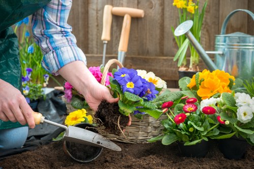 Vibrant flower garden in Rotherhithe outdoor space