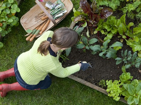 Garden clearance benefits Illustration