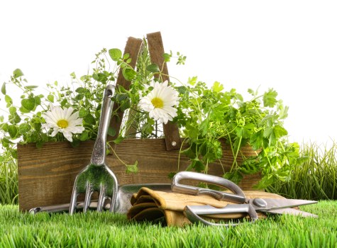 Close-up of gardener's hands planting in raised bed with accessible edge