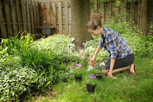 Community garden showing mulched paths and recovered soil