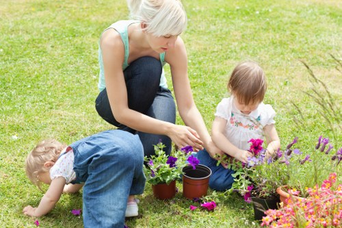 Professional garden clearance services