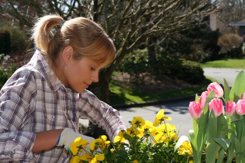 Vibrant and well-maintained garden layout